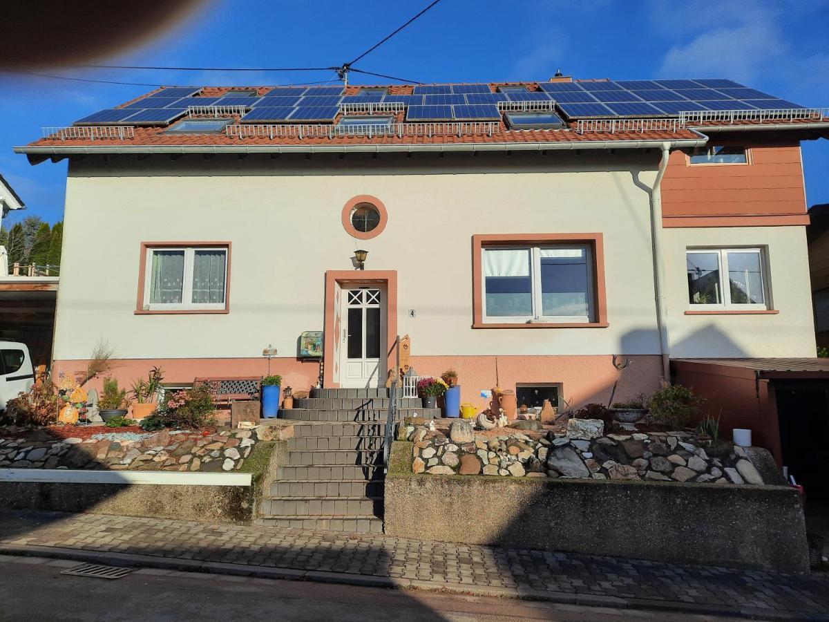 Ferienwohnung Friedel Und Kaethe Oberthal Dış mekan fotoğraf
